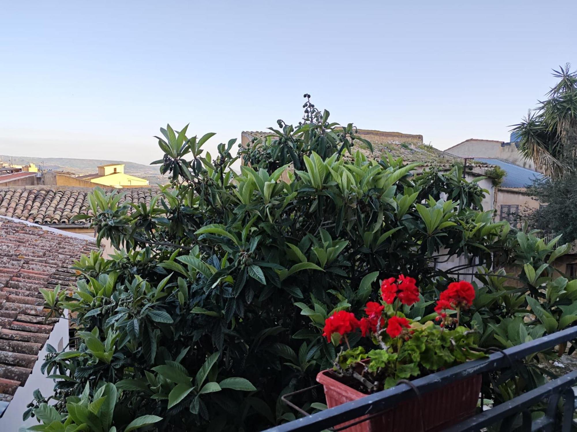 Villa Amoroso - Ospitalita Mediterranea Αγκριτζέντο Εξωτερικό φωτογραφία
